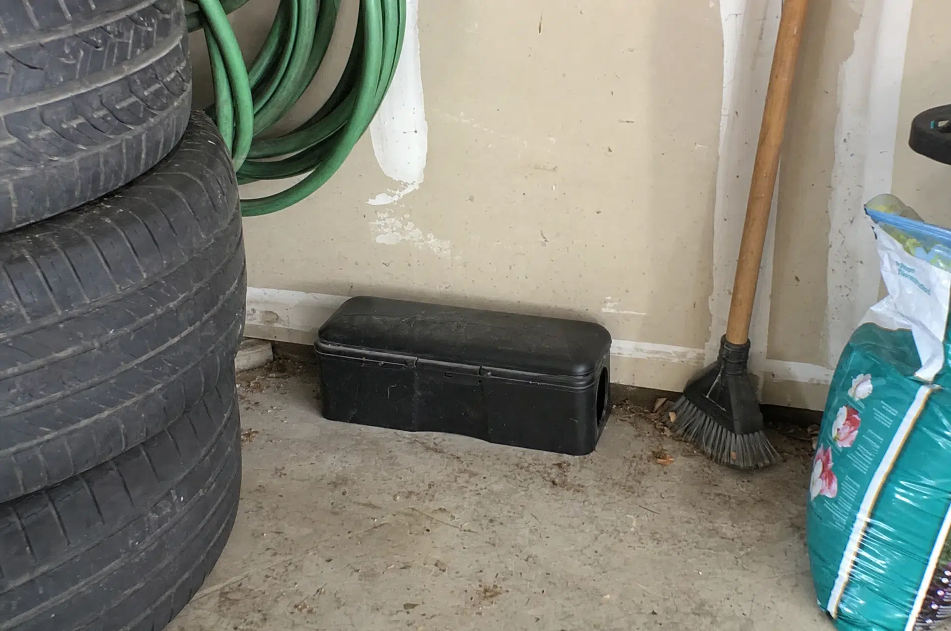Rattenfalle in einer Schutzstation an der Garagenwand