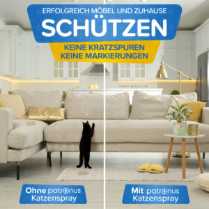 Moebel und Zuhause vor Kratzspuren und Markierungen schuetzen