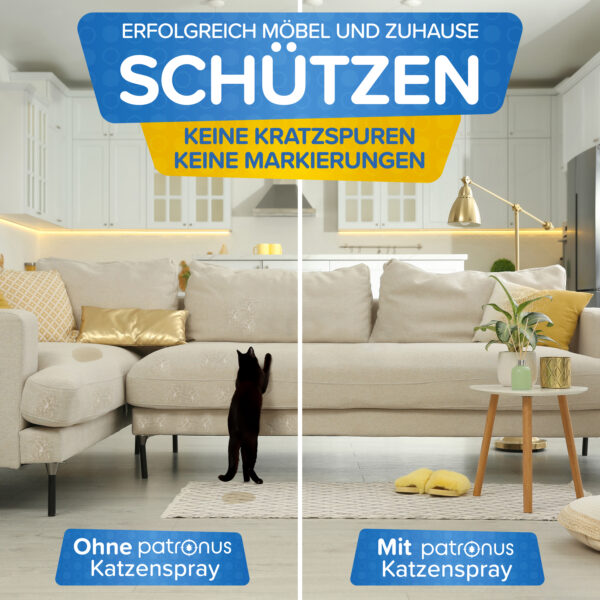 Moebel und Zuhause vor Kratzspuren und Markierungen schuetzen